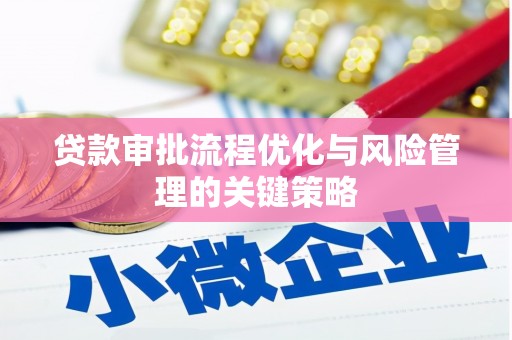 溆浦贷款审批流程优化与风险管理的关键策略