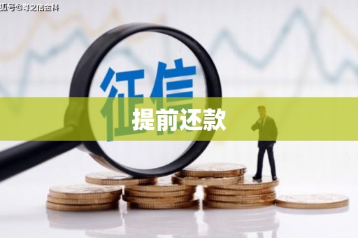 溆浦提前还款