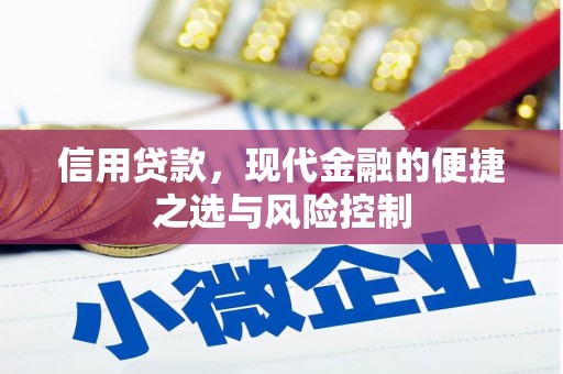 溆浦信用贷款，现代金融的便捷之选与风险控制