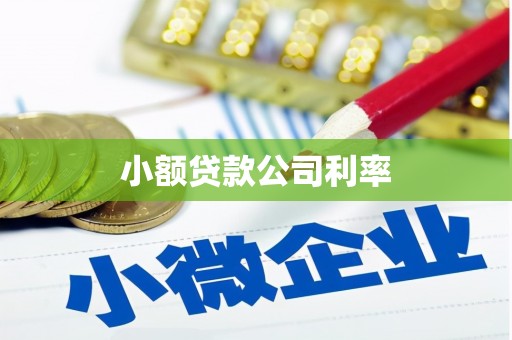 溆浦小额贷款公司利率