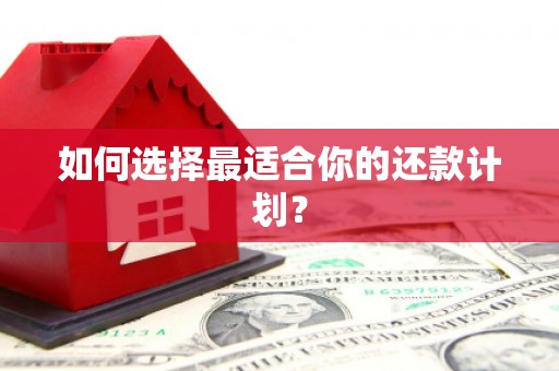 溆浦如何选择最适合你的还款计划？