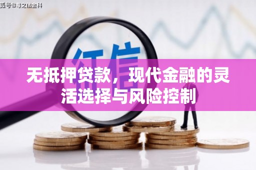 溆浦无抵押贷款，现代金融的灵活选择与风险控制