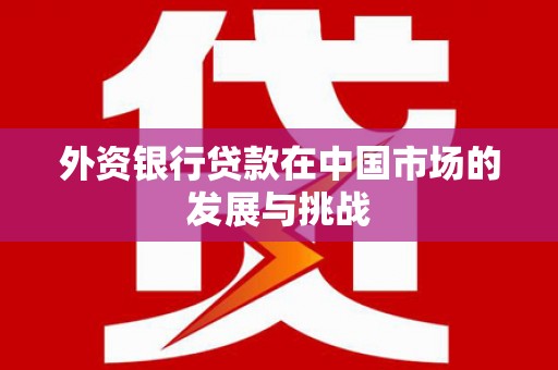 溆浦外资银行贷款在中国市场的发展与挑战