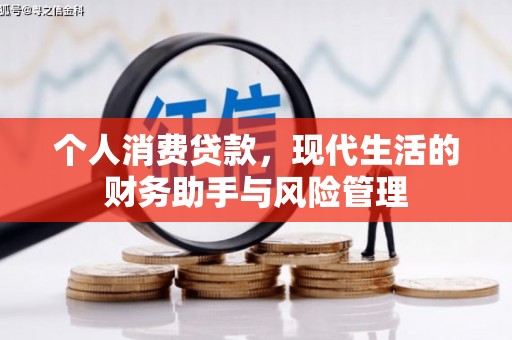 溆浦个人消费贷款，现代生活的财务助手与风险管理