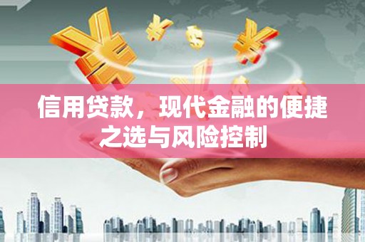 溆浦信用贷款，现代金融的便捷之选与风险控制