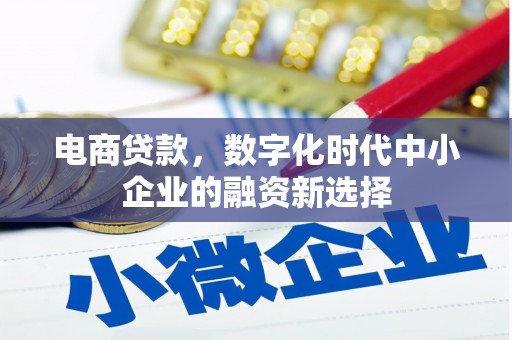 溆浦电商贷款，数字化时代中小企业的融资新选择