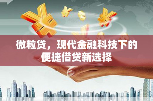 溆浦微粒贷，现代金融科技下的便捷借贷新选择