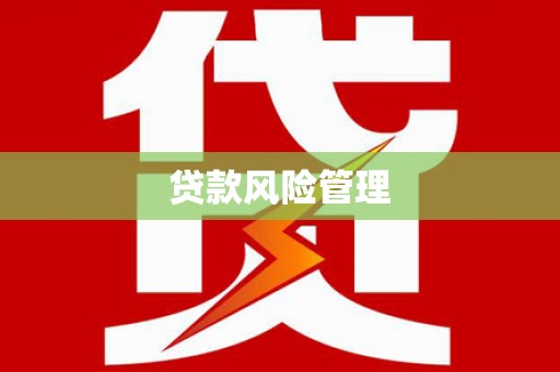 溆浦贷款风险管理
