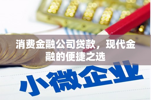 溆浦消费金融公司贷款，现代金融的便捷之选
