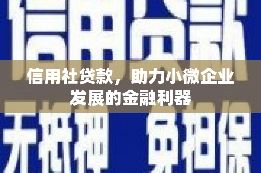 溆浦信用社贷款，助力小微企业发展的金融利器