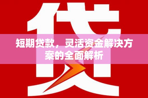 溆浦短期贷款，灵活资金解决方案的全面解析