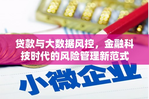 溆浦贷款与大数据风控，金融科技时代的风险管理新范式
