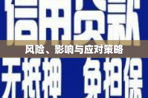 溆浦风险、影响与应对策略