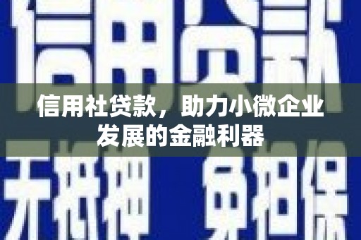 溆浦信用社贷款，助力小微企业发展的金融利器