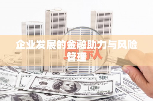 溆浦企业发展的金融助力与风险管理
