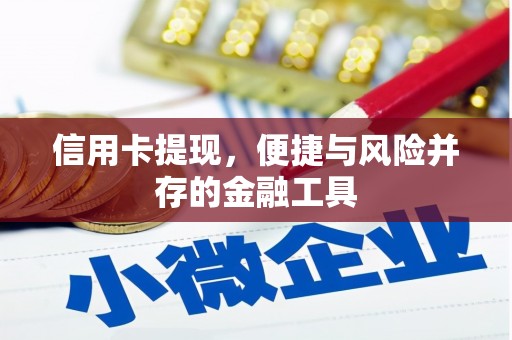 溆浦信用卡提现，便捷与风险并存的金融工具