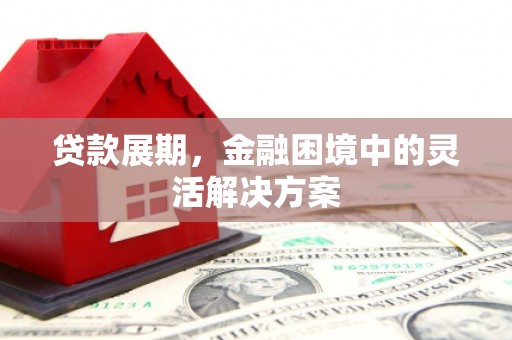 溆浦贷款展期，金融困境中的灵活解决方案
