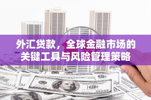 溆浦外汇贷款，全球金融市场的关键工具与风险管理策略