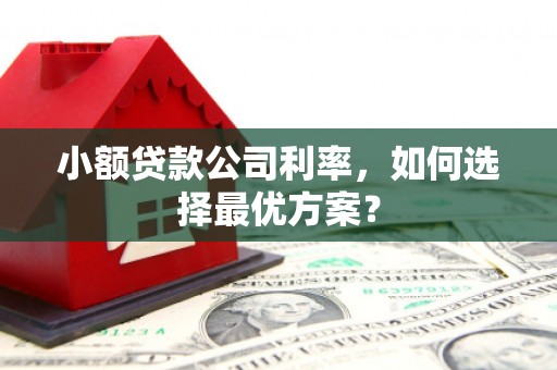溆浦小额贷款公司利率，如何选择最优方案？