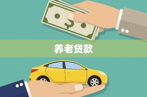 溆浦养老贷款