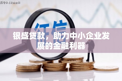 溆浦银盛贷款，助力中小企业发展的金融利器