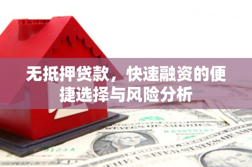 溆浦无抵押贷款，快速融资的便捷选择与风险分析