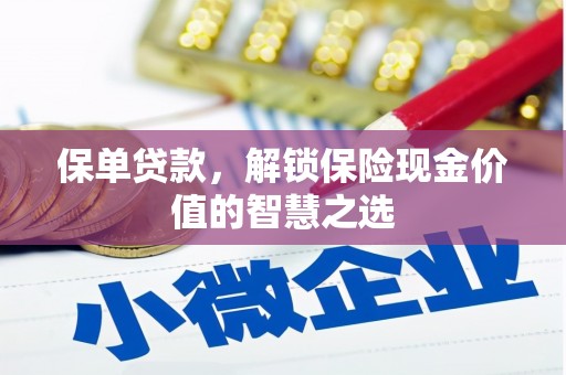 溆浦保单贷款，解锁保险现金价值的智慧之选