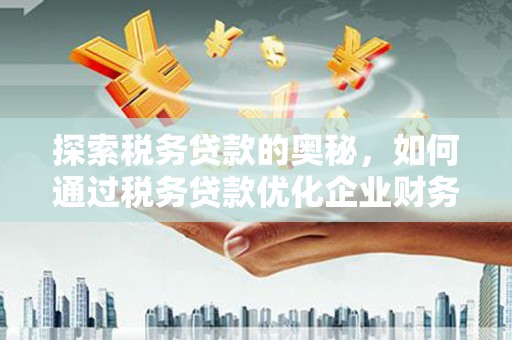 溆浦探索税务贷款的奥秘，如何通过税务贷款优化企业财务