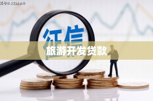 溆浦旅游开发贷款