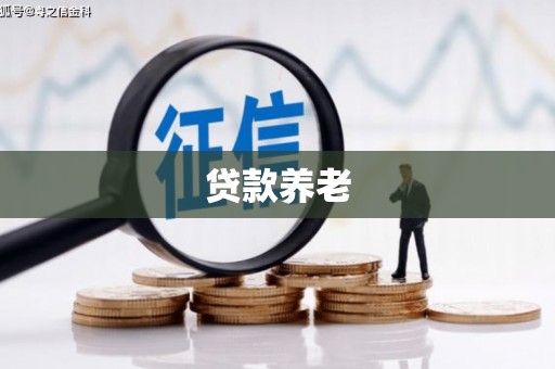 溆浦贷款养老