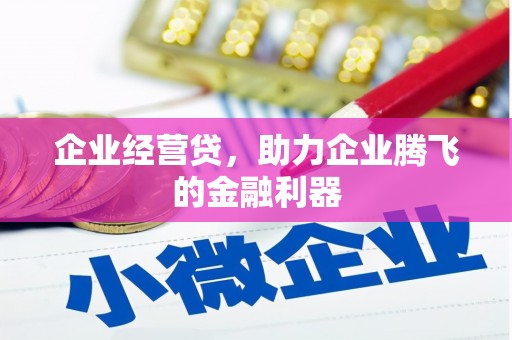 溆浦企业经营贷，助力企业腾飞的金融利器