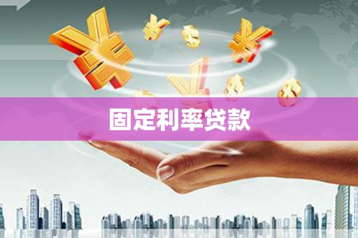溆浦固定利率贷款