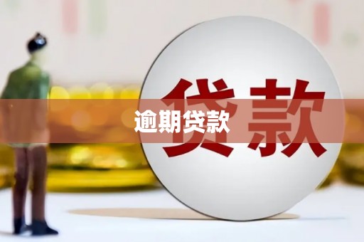 溆浦逾期贷款