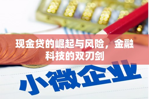 溆浦现金贷的崛起与风险，金融科技的双刃剑