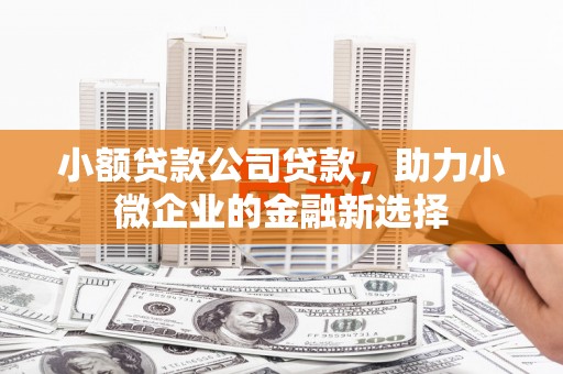 溆浦小额贷款公司贷款，助力小微企业的金融新选择