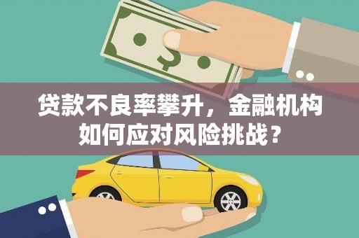 溆浦贷款不良率攀升，金融机构如何应对风险挑战？
