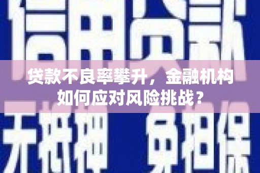 溆浦贷款不良率攀升，金融机构如何应对风险挑战？