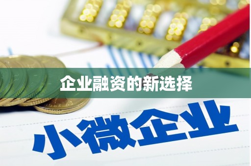 溆浦企业融资的新选择