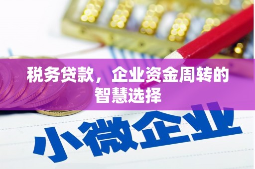 溆浦税务贷款，企业资金周转的智慧选择