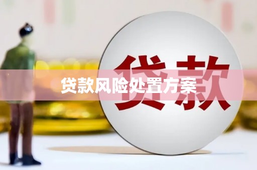 溆浦贷款风险处置方案