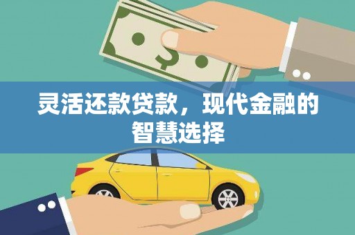 溆浦灵活还款贷款，现代金融的智慧选择