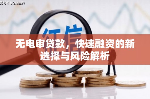 溆浦无电审贷款，快速融资的新选择与风险解析