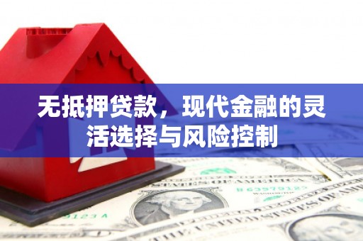 溆浦无抵押贷款，现代金融的灵活选择与风险控制