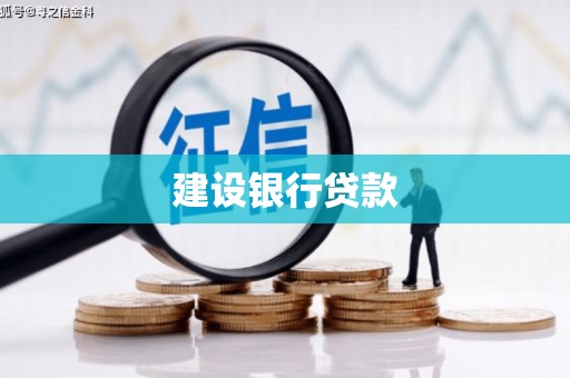 溆浦建设银行贷款