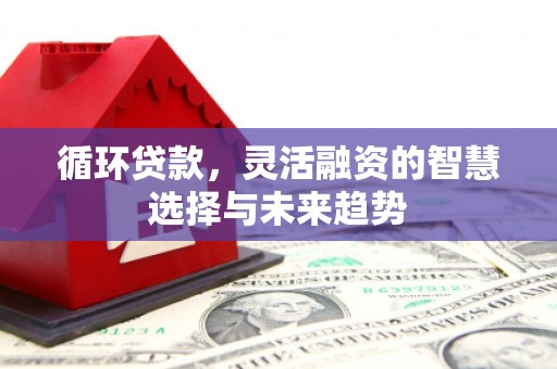 溆浦循环贷款，灵活融资的智慧选择与未来趋势