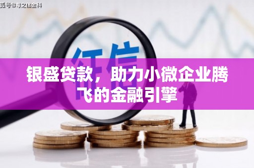 溆浦银盛贷款，助力小微企业腾飞的金融引擎