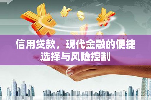 溆浦信用贷款，现代金融的便捷选择与风险控制