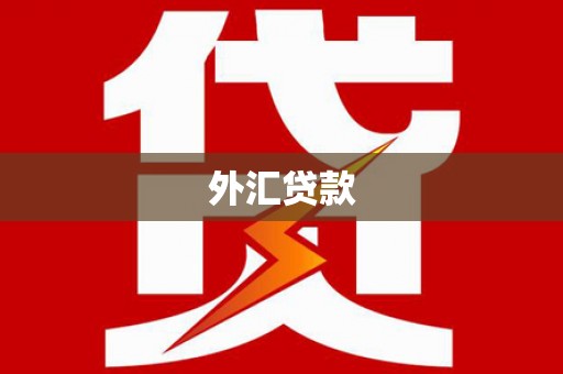 溆浦外汇贷款