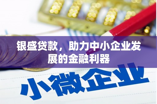 溆浦银盛贷款，助力中小企业发展的金融利器