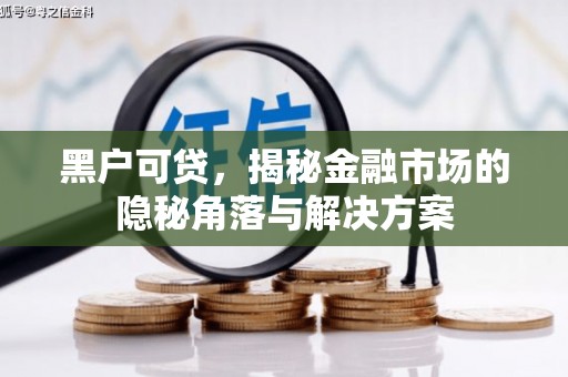 溆浦黑户可贷，揭秘金融市场的隐秘角落与解决方案